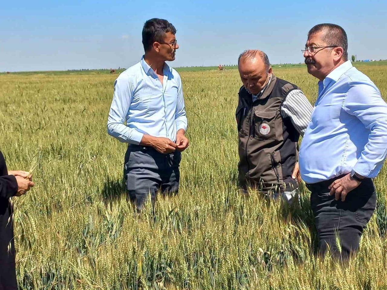 KONYA’NIN KARAPINAR İLÇESİNDE KÜÇÜKAŞLAMA MAHALLESİ VE ÇEVRESİNDE GEÇTİĞİMİZ GÜNLERDE MEYDANA...