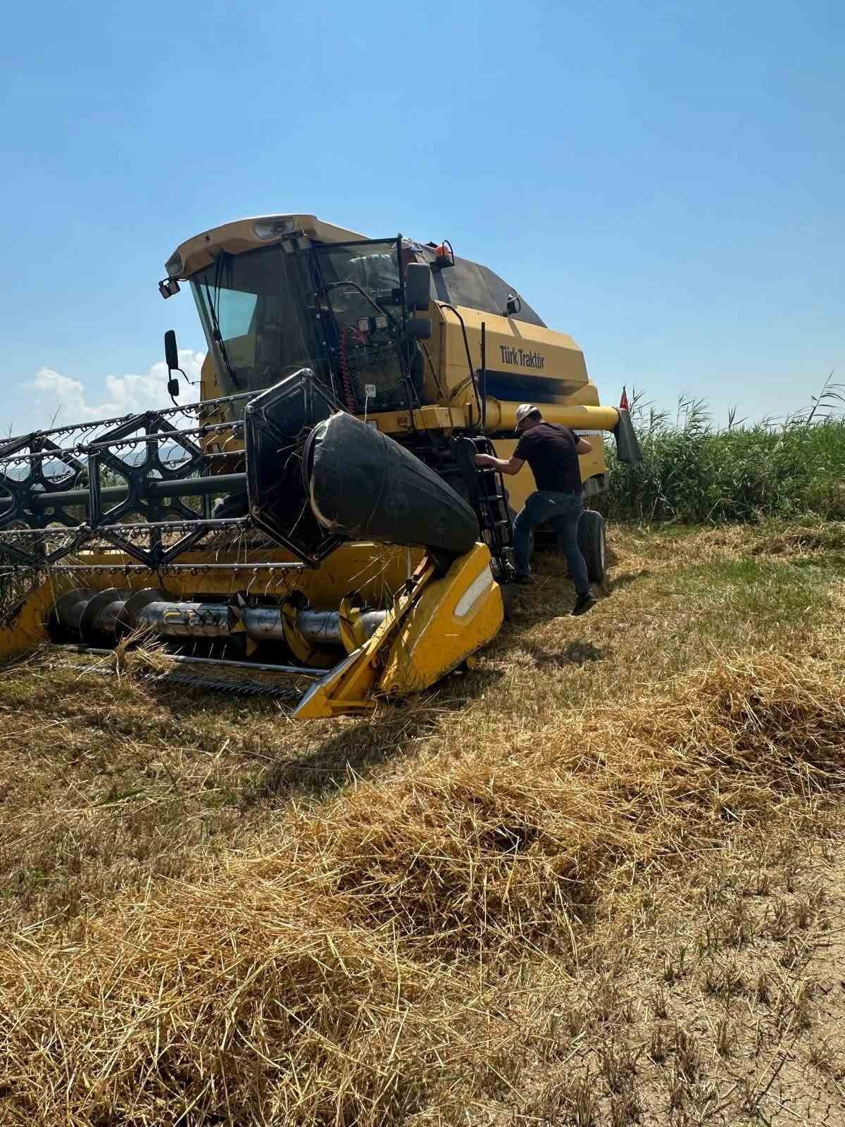 KÖŞK İLÇE TARIM VE ORMAN MÜDÜRLÜĞÜ EKİPLERİ, HUBUBAT HASADININ BAŞLAMASIYLA BİRLİKTE BUĞDAY EKİLİ...