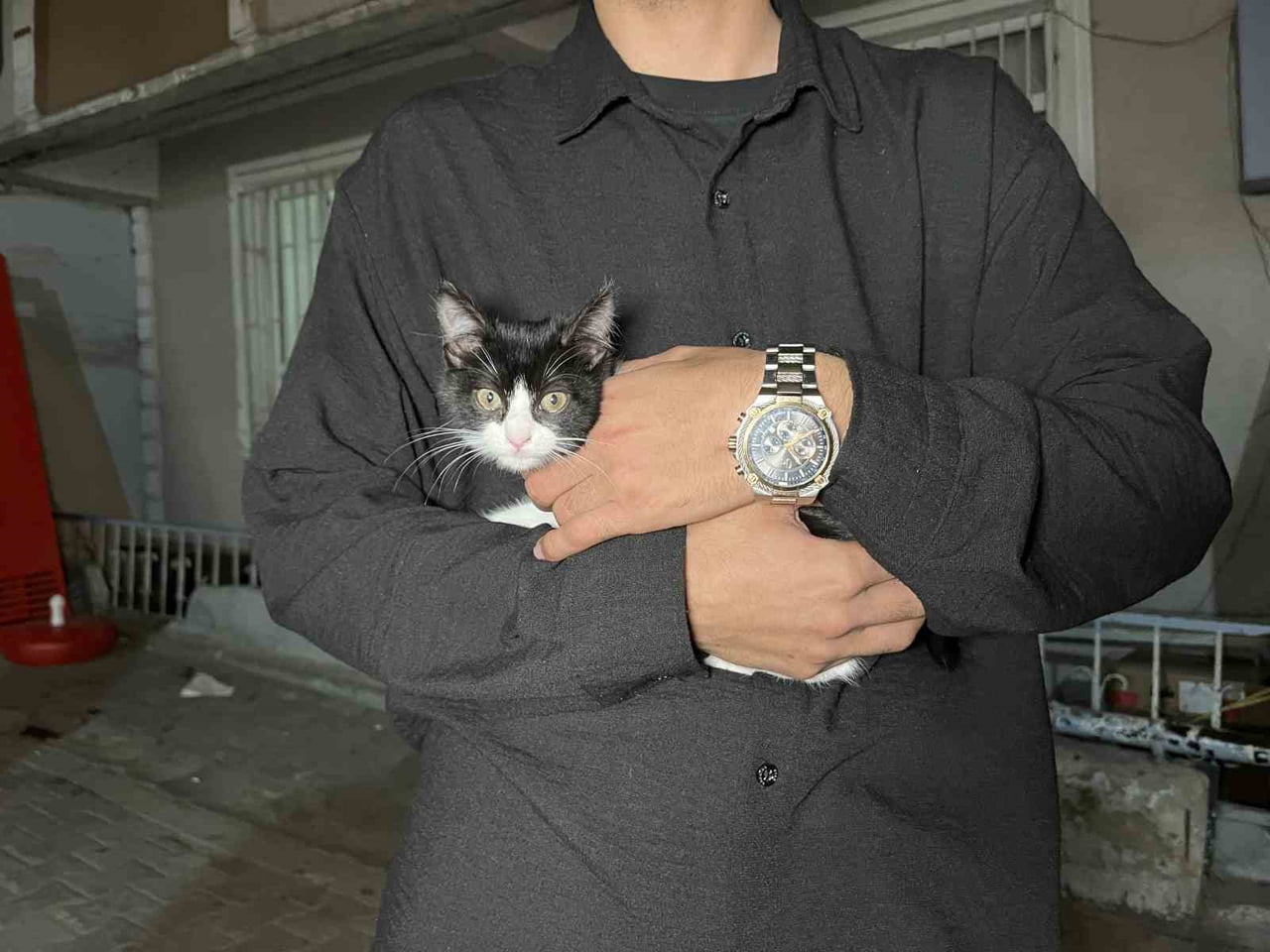 KÜÇÜKÇEKMECE'DE 7 KATLI BİNANIN EN ÜST KATINDAN DÜŞEN KEDİYİ MAHALLELİ ŞEMSİYE AÇARAK...