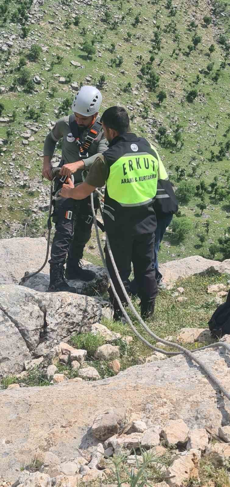KUŞDALI KÖYÜ YAKINLARINDAKİ SARP VE DİK KAYALIKLARDA MAHSUR KALAN KEÇİ, ERUH ARAMA KURTARMA...