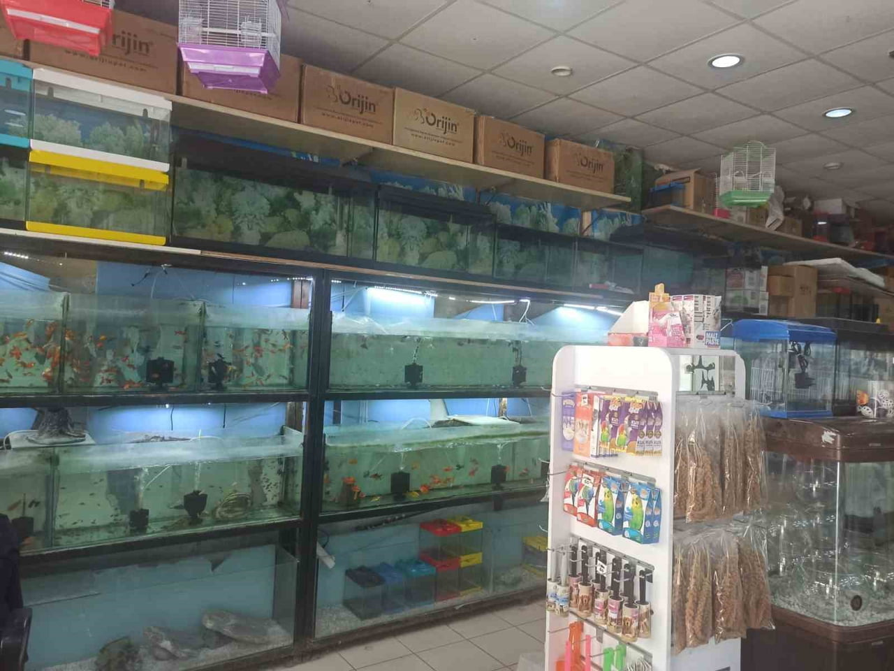 KÜTAHYA’DA EV HAYVANI SATIŞ YERLERİNDE DENETİM
