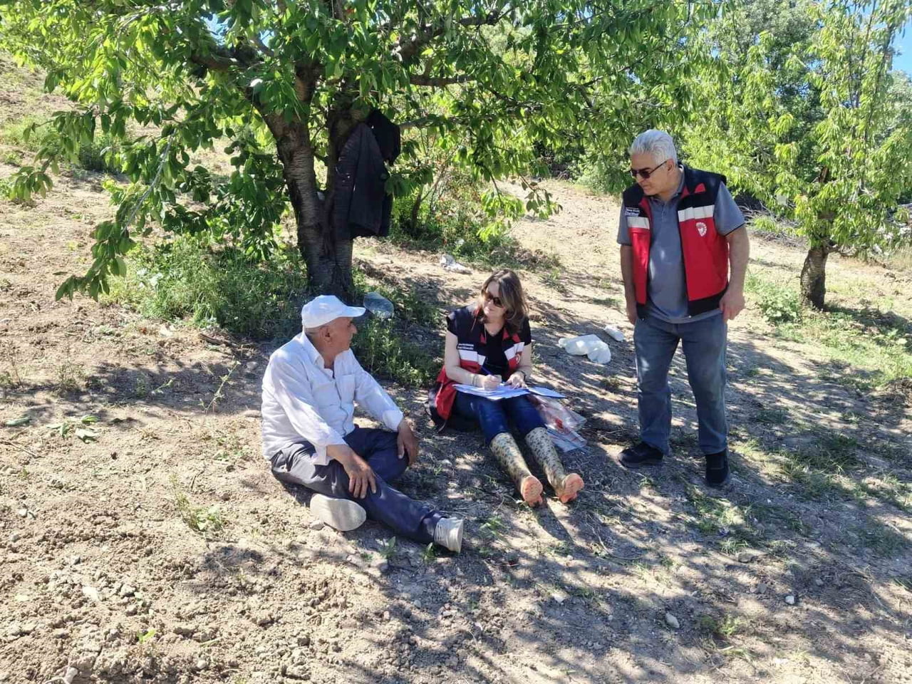 KÜTAHYA’DA KİRAZDA HASAT ÖNCESİ PESTİSİT DENETİMLERİ BAŞLADI