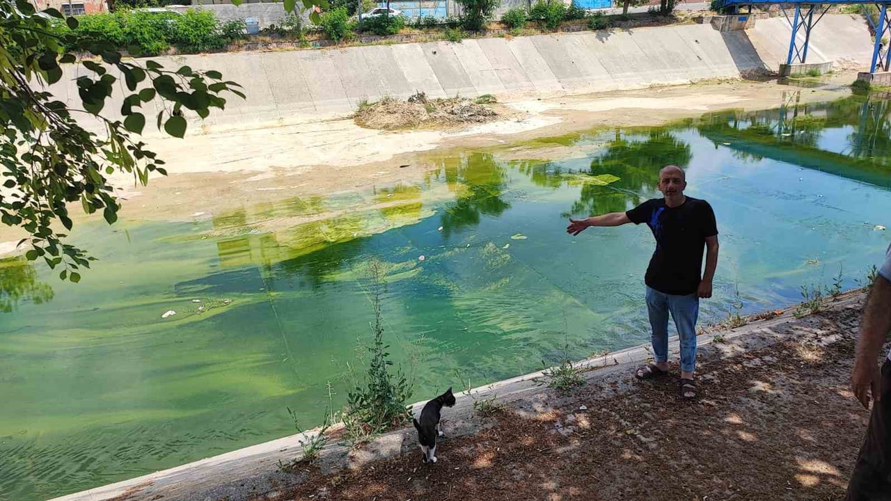 MAHALLE SAKİNLERİNDEN EMİN KILIÇ, BÖLGEDE UZUN SÜREDİR İLAÇLAMA YAPILMADIĞINI İDDİA EDEREK...