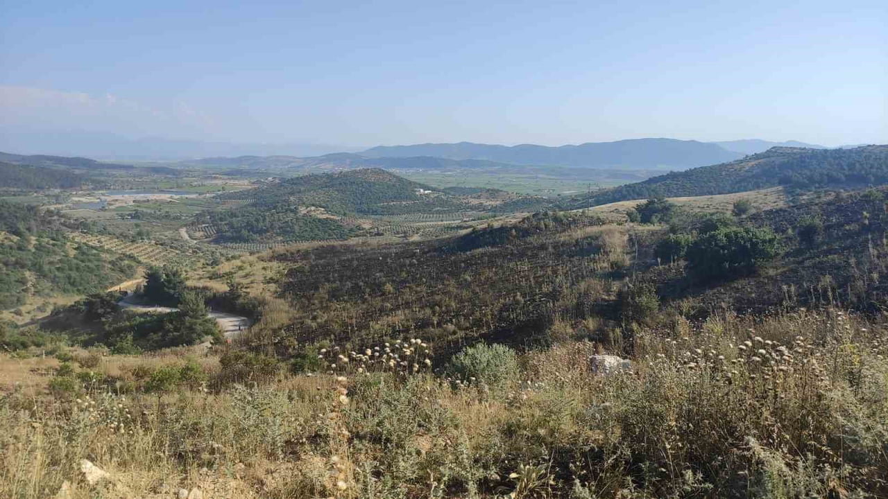 MANİSA'NIN AKHİSAR İLÇESİNDE ORMANLIK ALANDA ÇIKAN YANGIN, EKİPLERİN HAVADAN VE KARADAN MÜDAHALESİ...