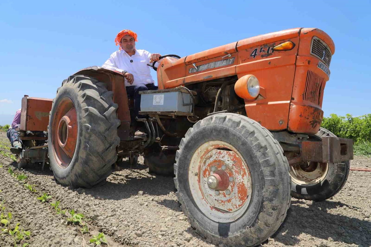 MANİSA'NIN SARUHANLI İLÇESİNDE TÜTÜN DİKİM SEZONU BAŞLADI. TAŞDİBİ MAHALLESİ'NDE ÜRETİCİLERİ...