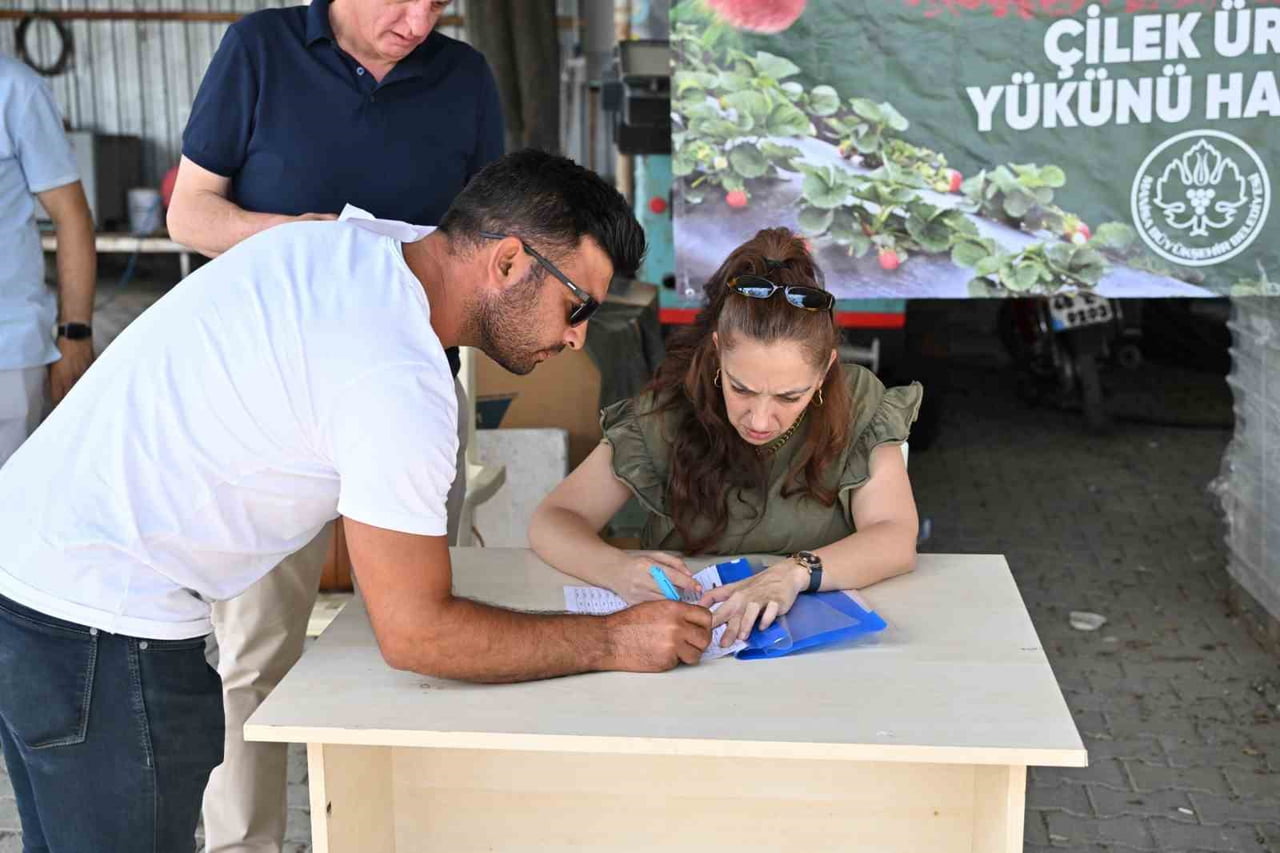 MANİSA BÜYÜKŞEHİR BELEDİYESİ, SALİHLİ VE KÖPRÜBAŞI İLÇELERİNDEKİ ÇİLEK ÜRETİCİLERİNİN GİRDİ...