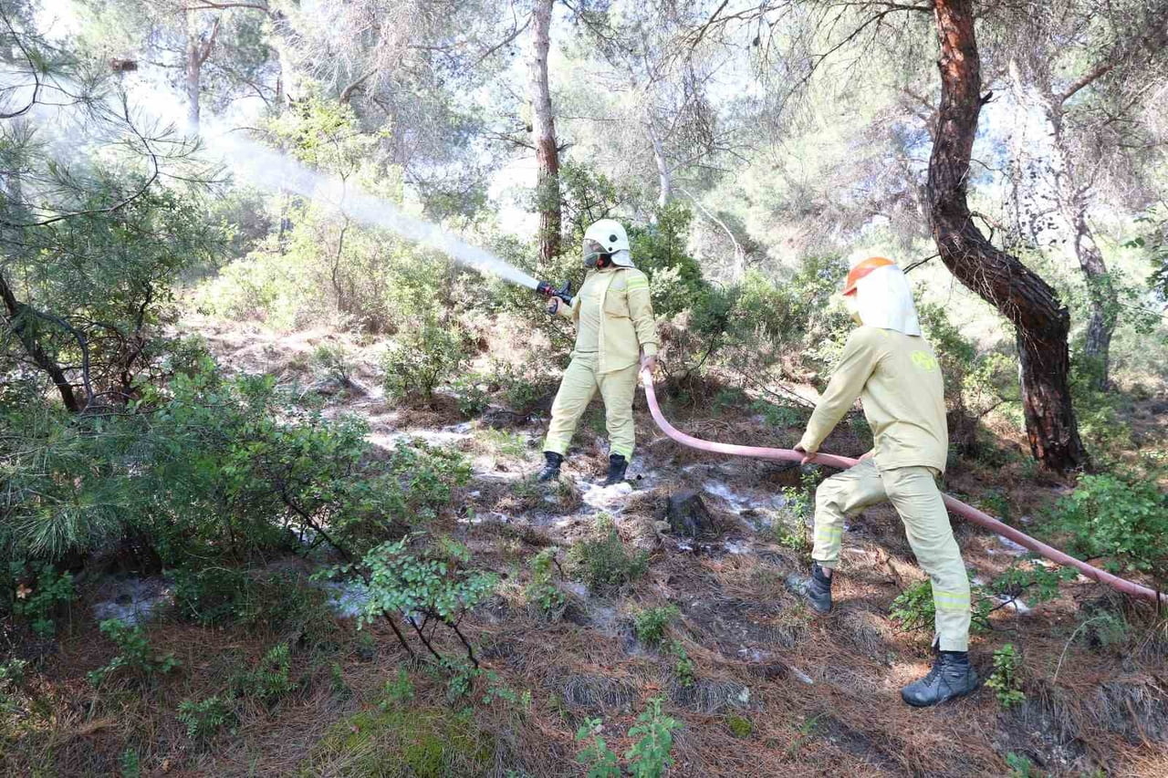 MANİSA’DA "MANİSA ORMAN YANGIN RİSKİNİ AZALTMA PLANI" KAPSAMINDA GERÇEKLEŞTİRİLEN GENİŞ KATILIMLI...