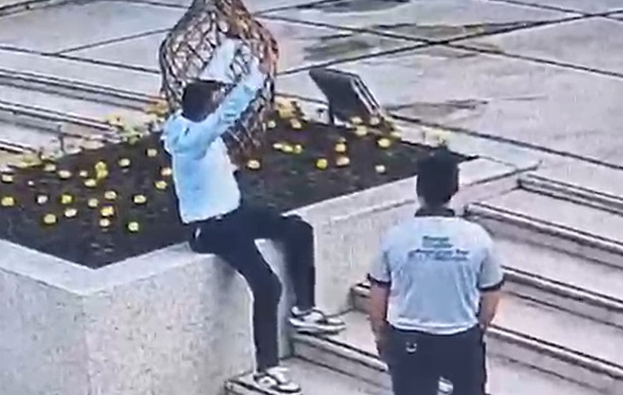 MANİSA’NIN SALİHLİ İLÇESİNDE MEYDANA GELEN VE BELEDİYE GÜVENLİK PERSONELİ İLE BELEDİYE TARAFINDAN...