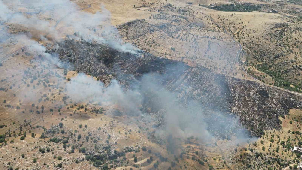 MARDİN'DE ORMANLIK ALANDA ÇIKAN YANGIN SÖNDÜRÜLDÜ