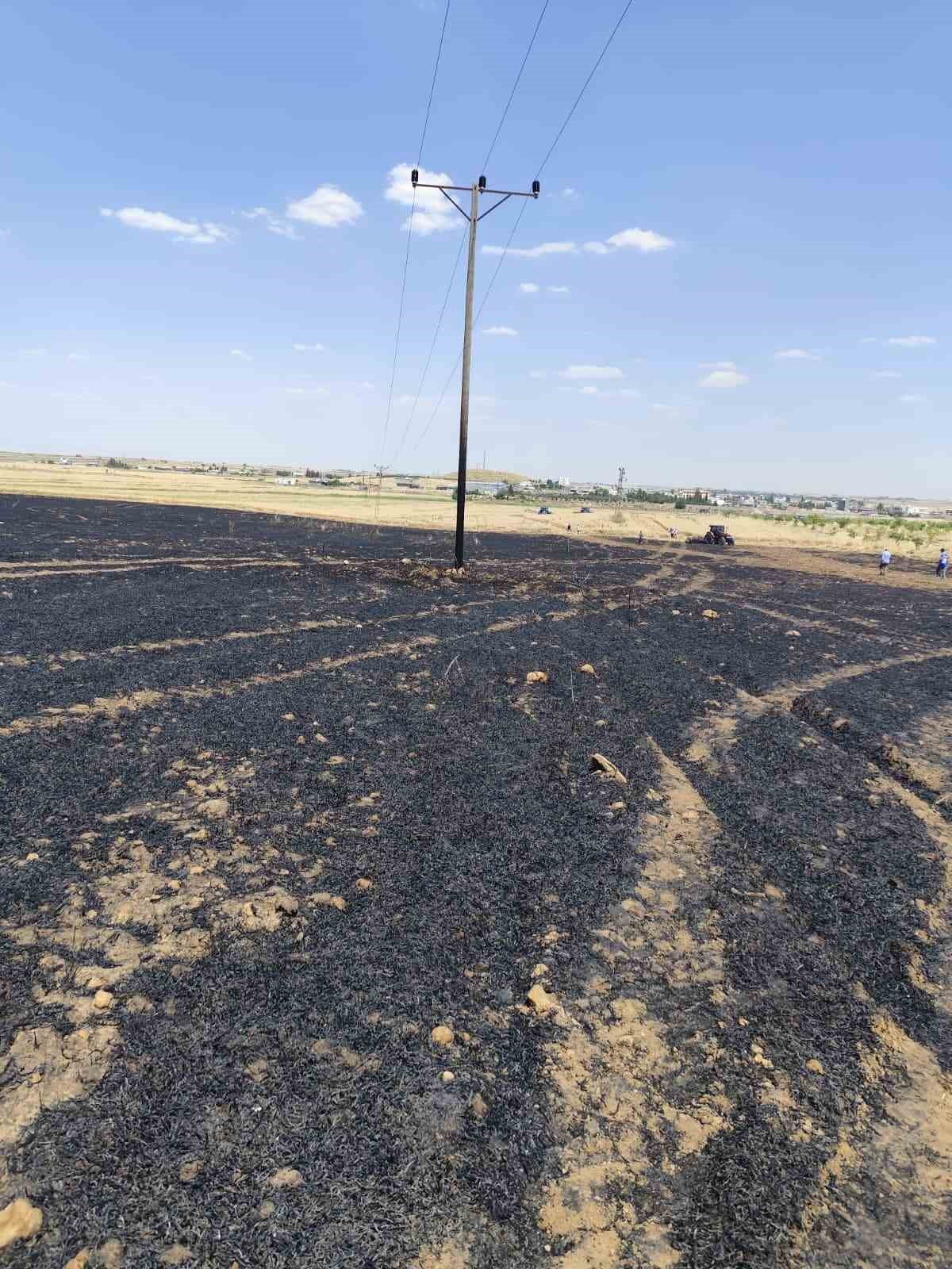 MARDİN’İN KIZILTEPE İLÇESİNDE BUĞDAY EKİLİ TARLADA ÇIKAN YANGINDA YAKLAŞIK 40 DÖNÜM ALAN ZARAR...