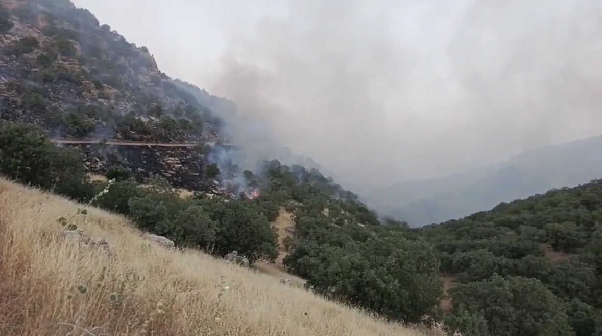 MARDİN’İN KIZILTEPE İLÇESİNE BAĞLI KIRSAL DAMLALI VE ULUKÖY MAHALLELERİNDE ÇIKAN ÖRTÜ YANGINI...