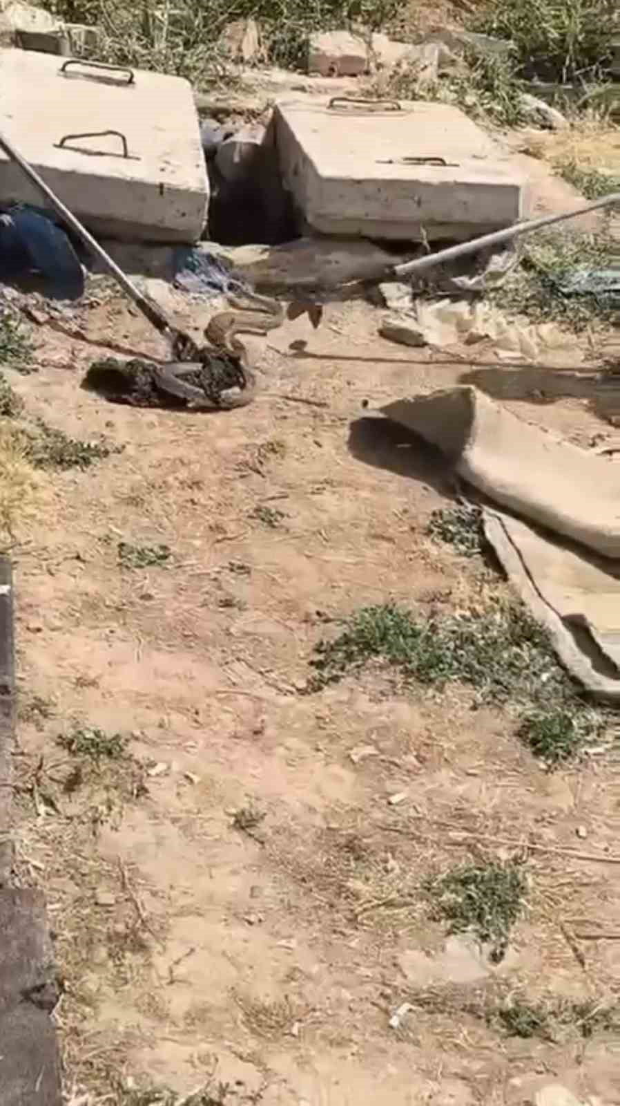 MARDİN’İN NUSAYBİN İLÇESİNDE KUYUDA GÖRÜLEN YILAN, İTFAİYE EKİPLERİNCE YAKALANARAK DOĞAL YAŞAM...