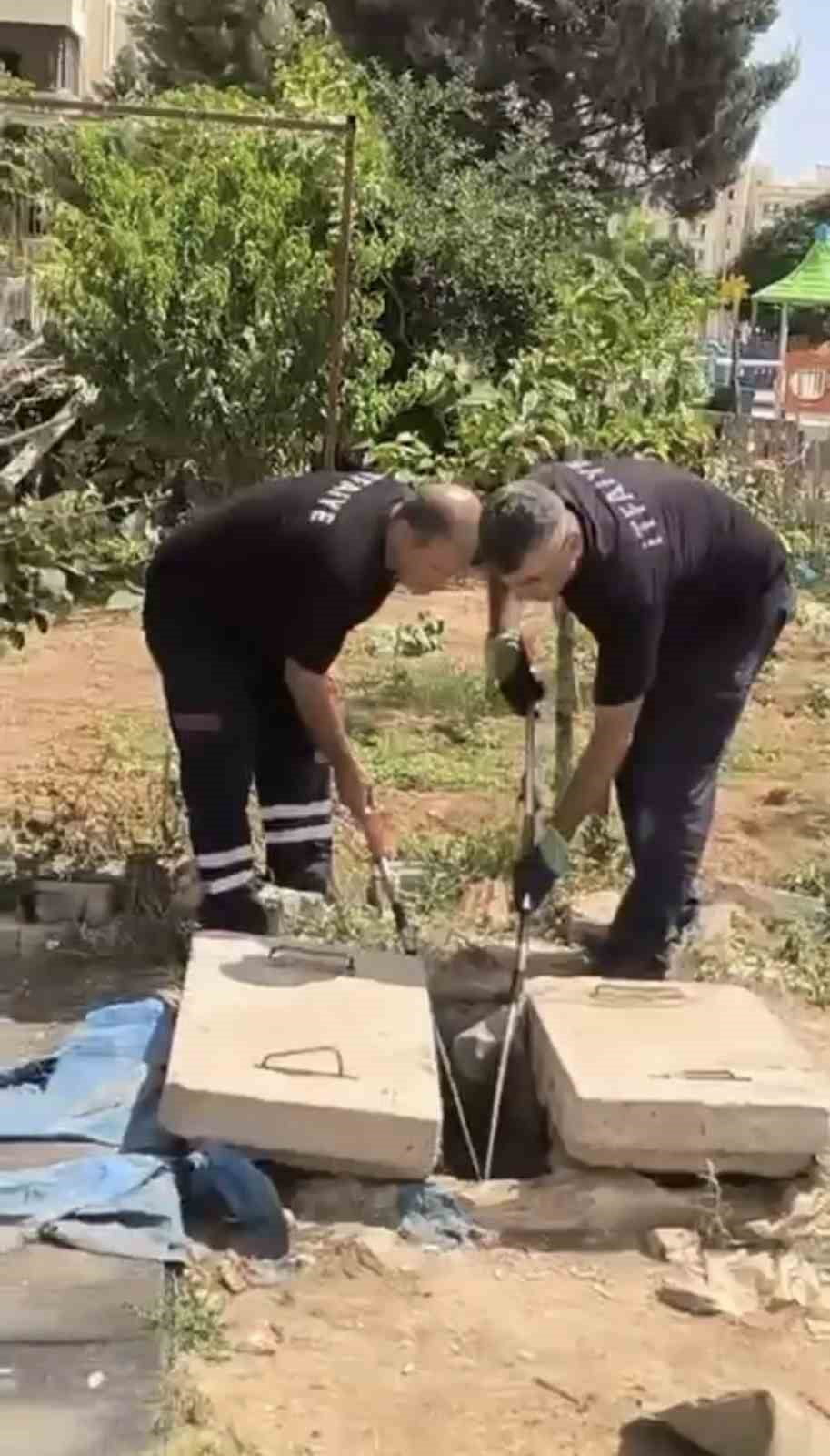 MARDİN’İN NUSAYBİN İLÇESİNDE KUYUDA GÖRÜLEN YILAN, İTFAİYE EKİPLERİNCE YAKALANARAK DOĞAL YAŞAM...