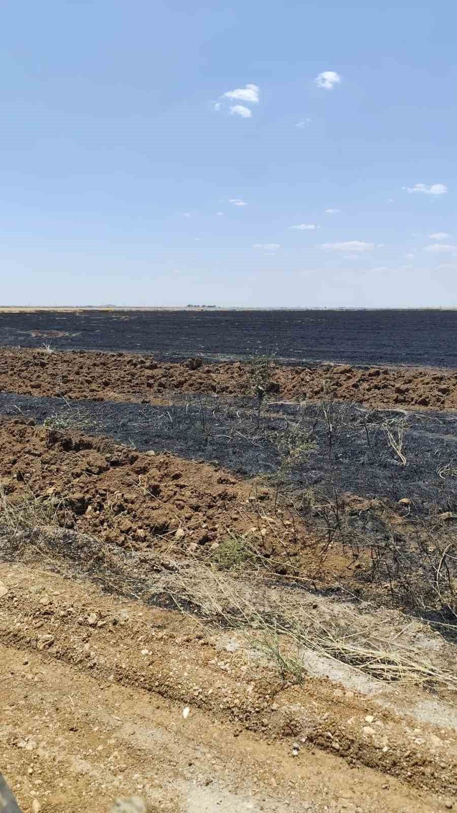 MARDİN’İN NUSAYBİN İLÇESİNDE YAKLAŞIK 150 DÖNÜM BUĞDAY EKİLİ ALANDA ÇIKAN YANGIN, İTFAİYE...