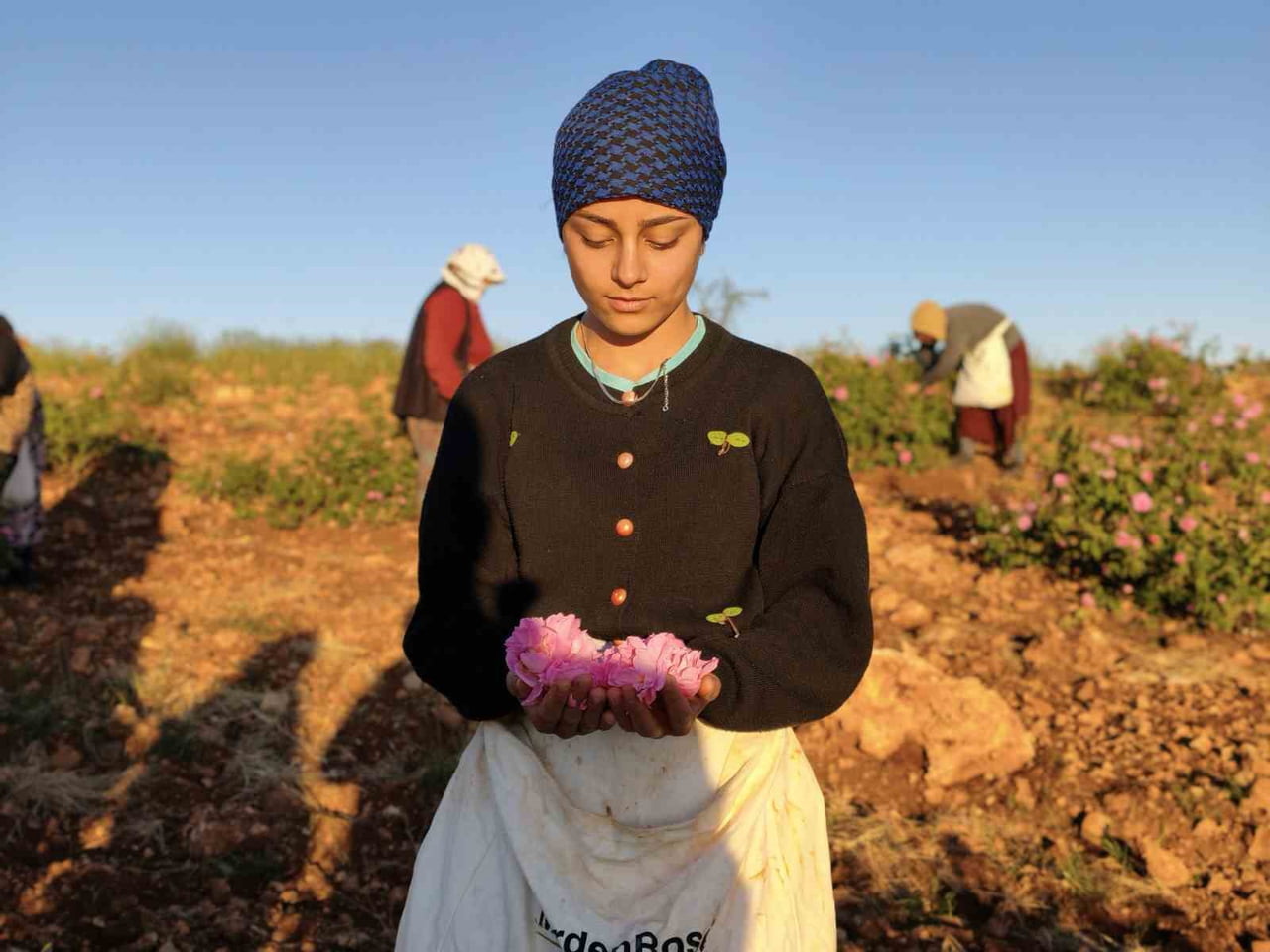 MARDİNDE KURDUĞU GÜL BAHÇESİYLE BÖLGE KADINLARINA İSTİHDAM SAĞLADI