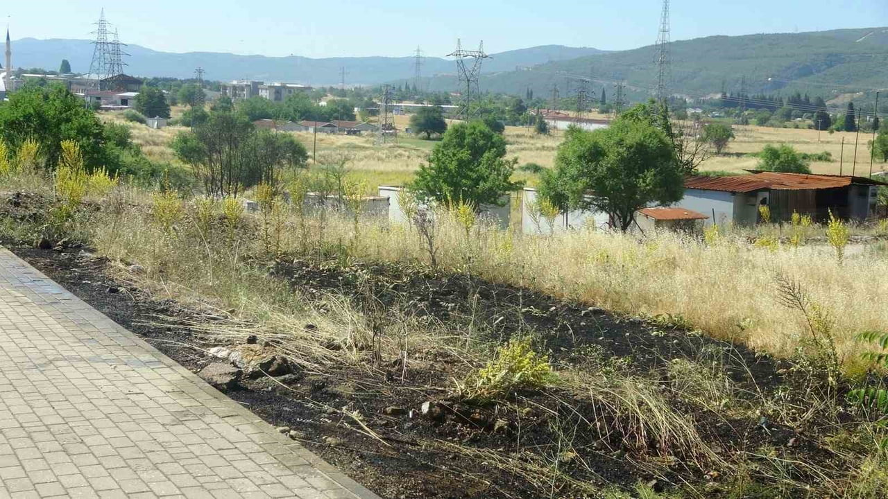 MENTEŞE'DE ATILAN SİGARA İZMARİTİ YANGIN ÇIKARDI