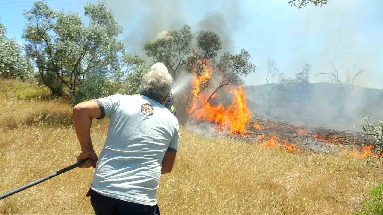 MENTEŞE'DE KORKUTAN ZEYTİNLİK YANGINI: EKİPLER FACİANIN ÖNÜNE GEÇTİ