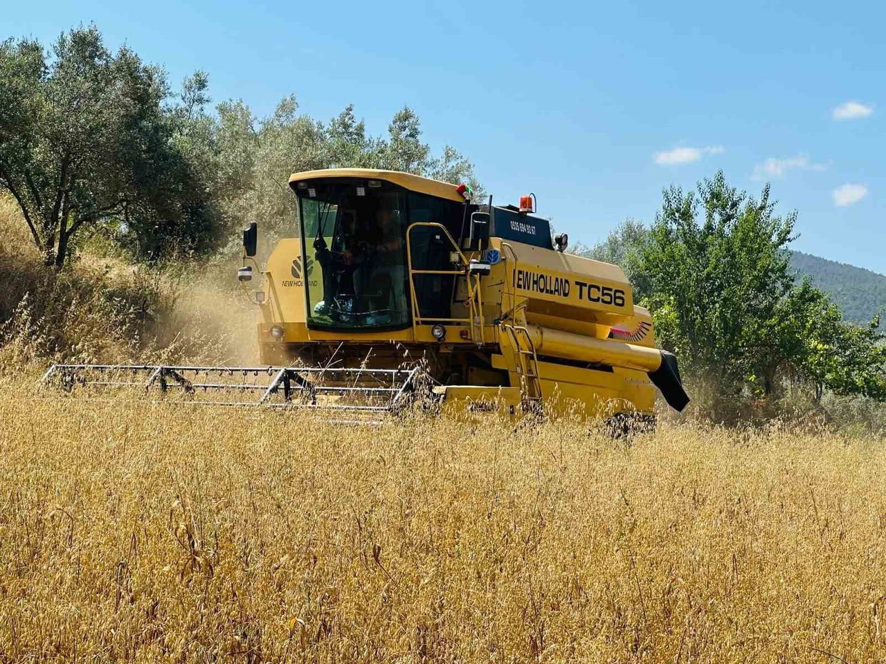 MENTEŞE’DE HASAT SEZONU BAŞLADI BİÇERDÖVERLERE SIKI DENETİM