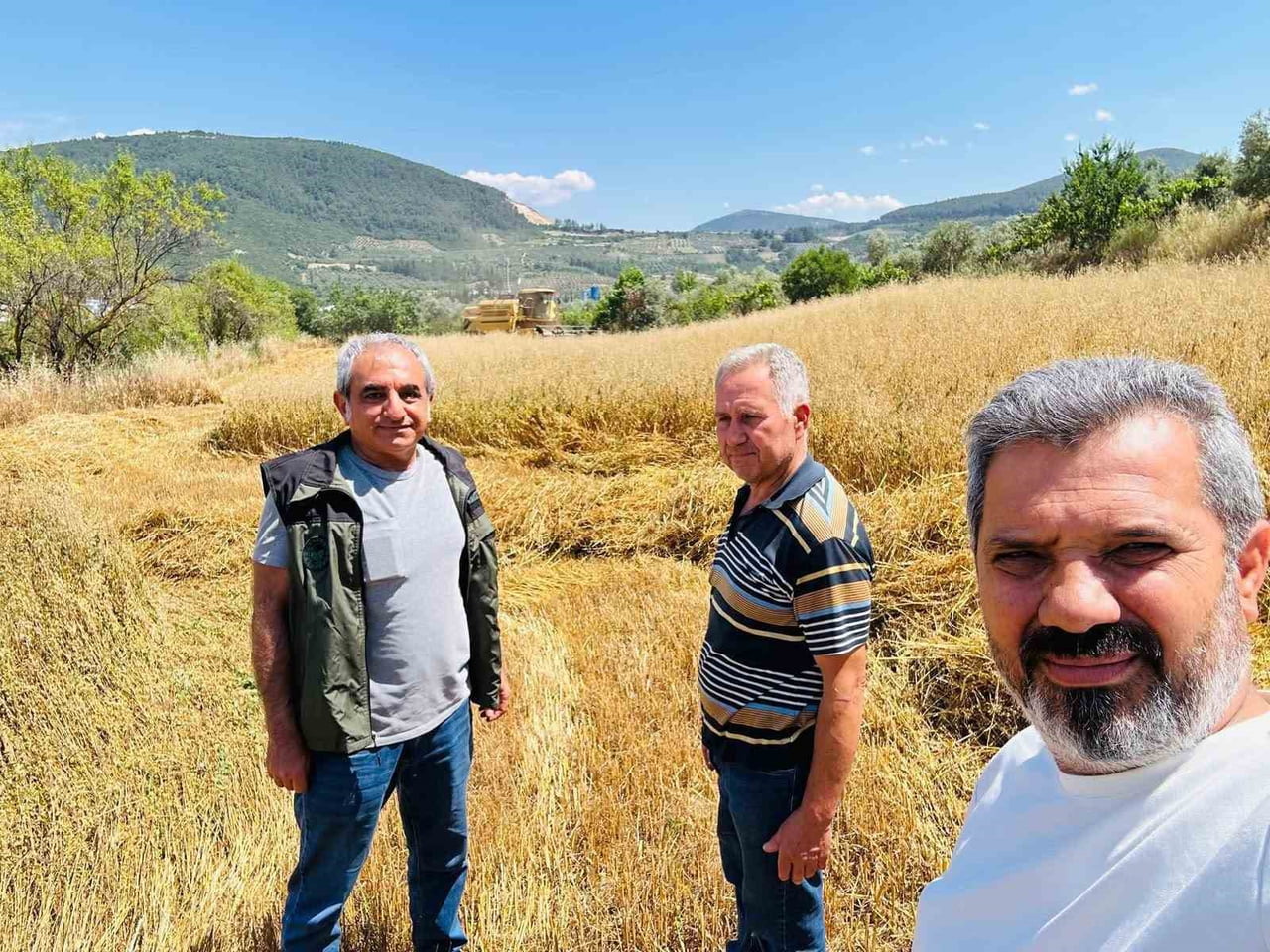 MENTEŞE’DE HASAT SEZONU BAŞLADI BİÇERDÖVERLERE SIKI DENETİM