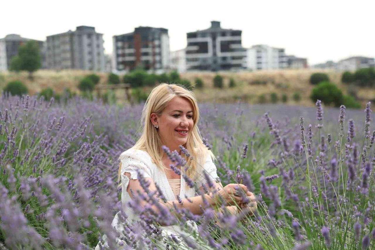 MERKEZEFENDİ BELEDİYESİ TARAFINDAN İLÇEYE KAZANDIRILAN LAVANTA BAHÇESİ, YAZ SEZONUYLA BİRLİKTE...