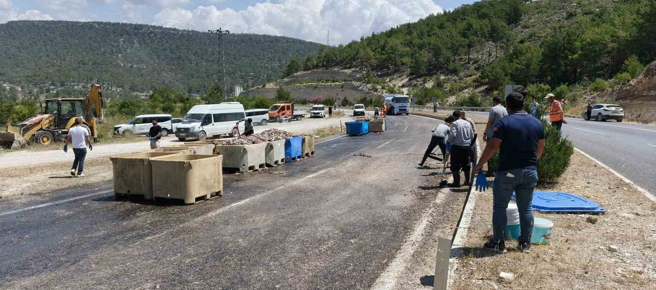 MERSİN'DE TIR'IN DORSESİ PATLADI, 15 TON BALIK ATIĞI YOLA SAÇILDI