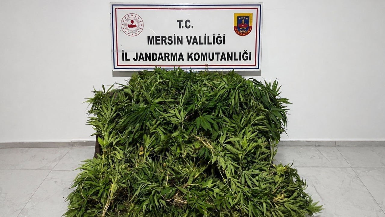 MERSİN'İN GÜLNAR İLÇESİNDE JANDARMA EKİPLERİNİN DÜZENLEDİĞİ OPERASYONDA, ORMANLIK ALANDAKİ 5...
