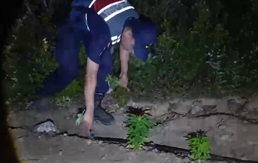 MERSİN'İN GÜLNAR İLÇESİNDE JANDARMA EKİPLERİNİN DÜZENLEDİĞİ OPERASYONDA, ORMANLIK ALANDAKİ 5...