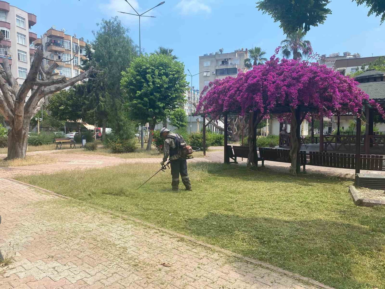 MERSİN'İN MERKEZ İLÇE AKDENİZ BELEDİYESİ, YAZ MEVSİMİNİN BAŞLAMASIYLA BİRLİKTE İLÇE GENELİNDEKİ...