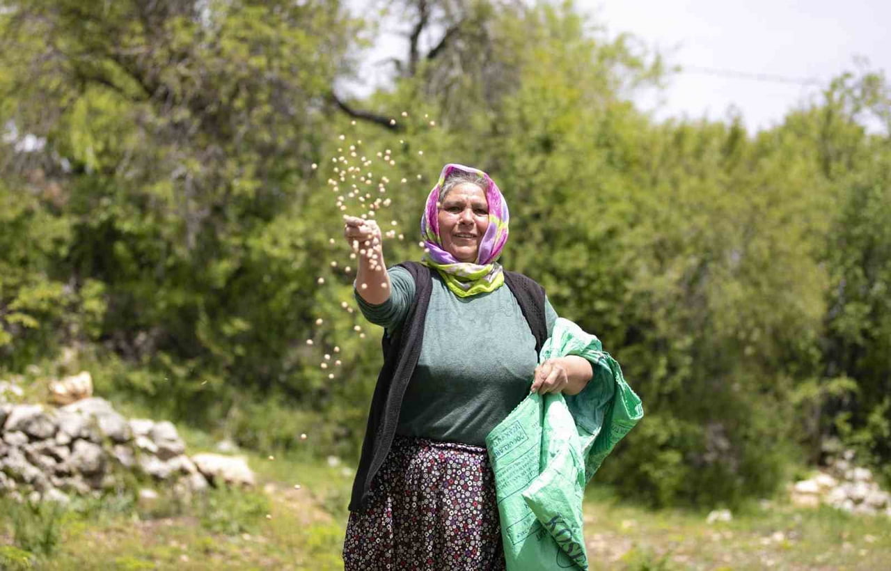 MERSİN BÜYÜKŞEHİR BELEDİYESİ, YEREL TOHUM ÇEŞİTLERİNİN KORUNMASI VE KIRSAL ÜRETİMİN...