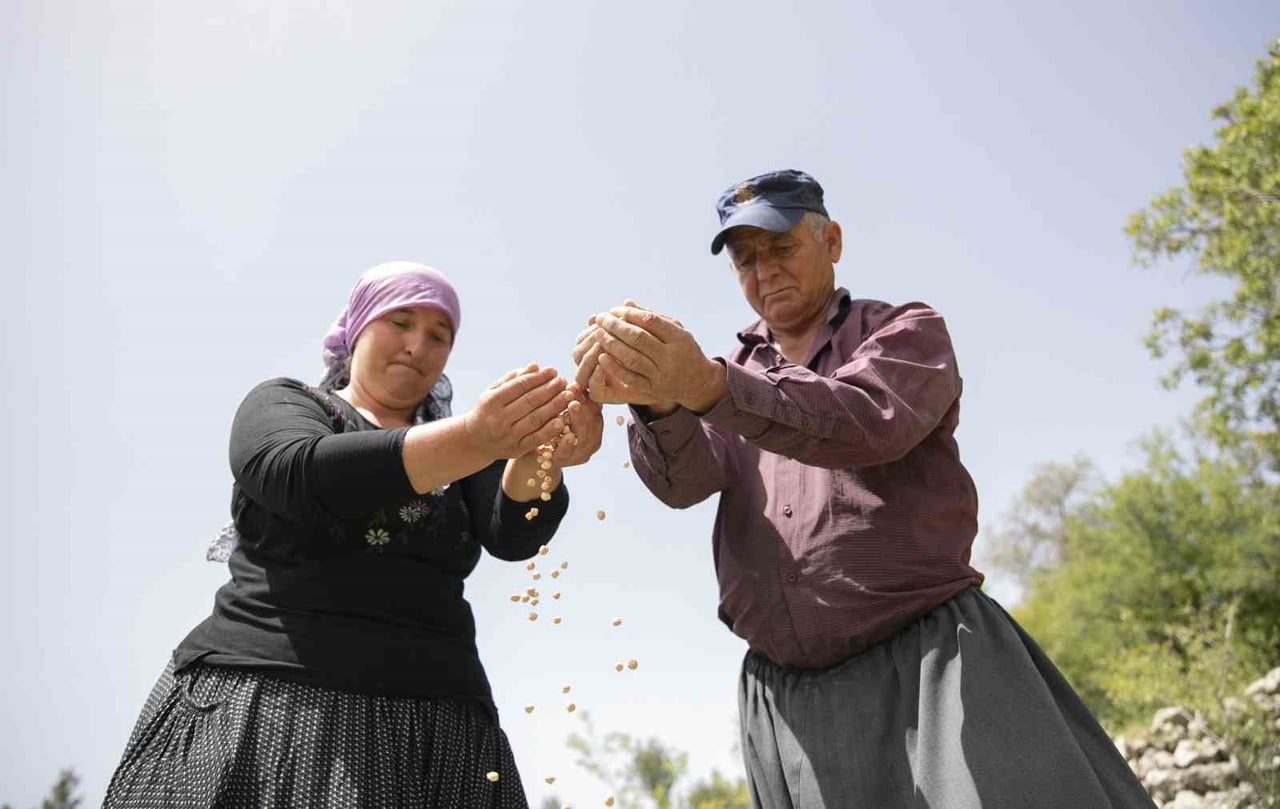 MERSİN BÜYÜKŞEHİR BELEDİYESİ, YEREL TOHUM ÇEŞİTLERİNİN KORUNMASI VE KIRSAL ÜRETİMİN...