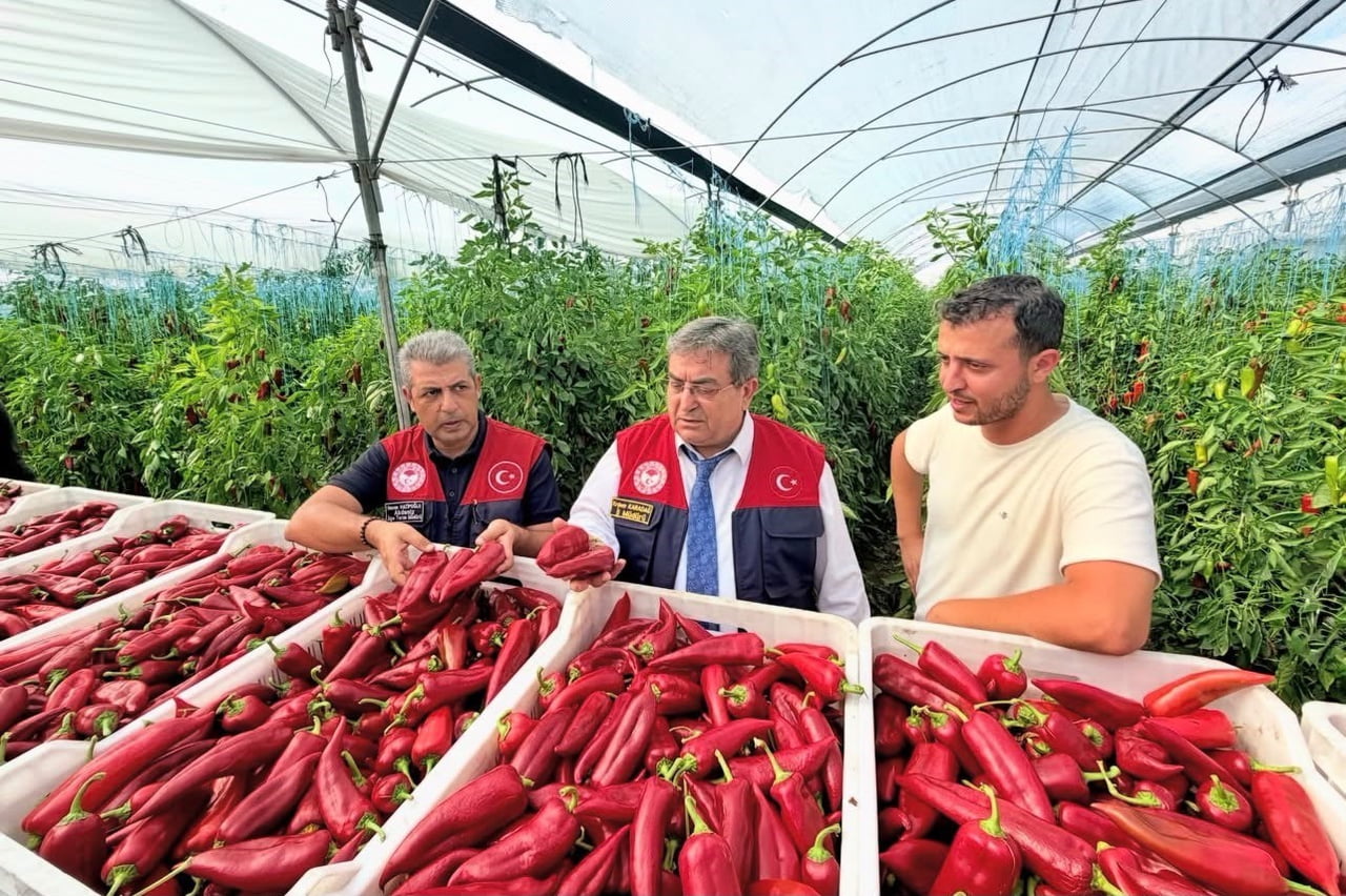 MERSİN İL TARIM VE ORMAN MÜDÜRÜ ERDEM KARADAĞ İLE AKDENİZ İLÇE TARIM VE ORMAN MÜDÜRÜ HASAN...