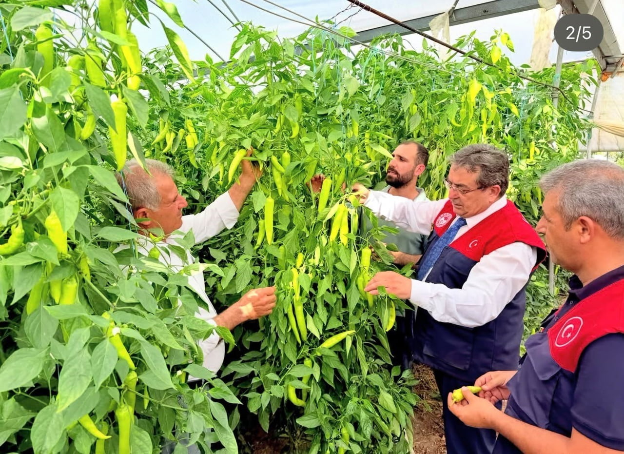 MERSİN İL TARIM VE ORMAN MÜDÜRÜ ERDEM KARADAĞ İLE AKDENİZ İLÇE TARIM VE ORMAN MÜDÜRÜ HASAN...