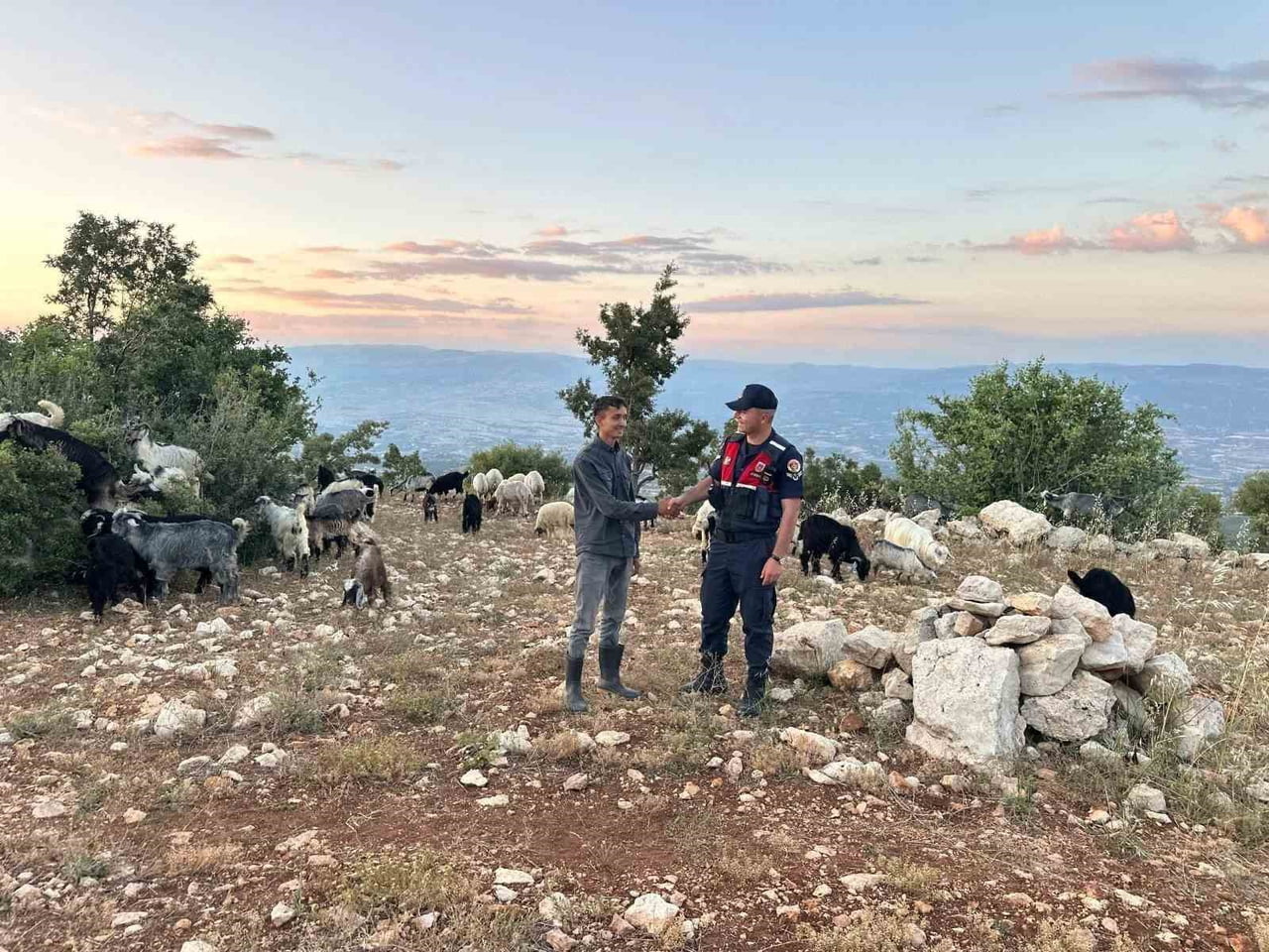 MERSİN’İN GÜLNAR İLÇESİNDE KAYBOLAN 40 KÜÇÜKBAŞ HAYVAN, JANDARMA EKİPLERİNİN DRON DESTEKLİ...