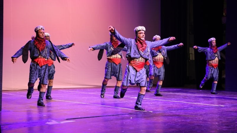 MERSİN VE SİVAS İL MİLLÎ EĞİTİM MÜDÜRLÜKLERİ İŞ BİRLİĞİNDE DÜZENLENEN HALK DANSLARI GÖSTERİSİ...
