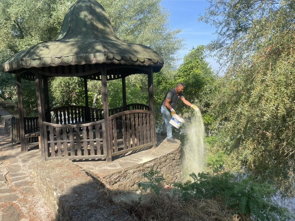 MESİRE ALANINDA HAŞERE VE YILANLARA KARŞI KÜKÜRT MESAİSİ