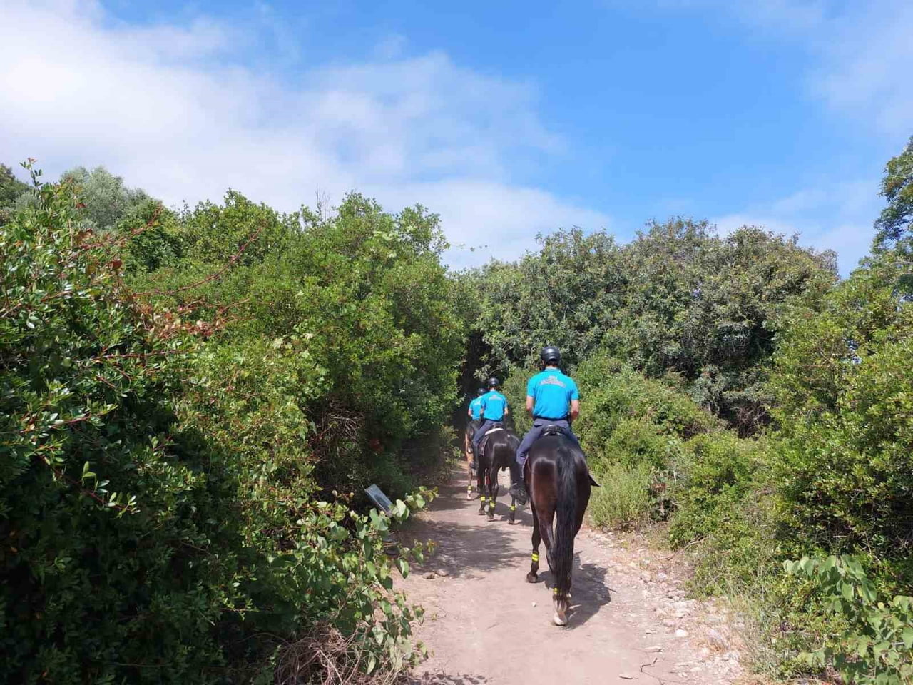 MİLLİ PARK’TA ATLI JANDARMA TİMİ GÖREVE BAŞLADI