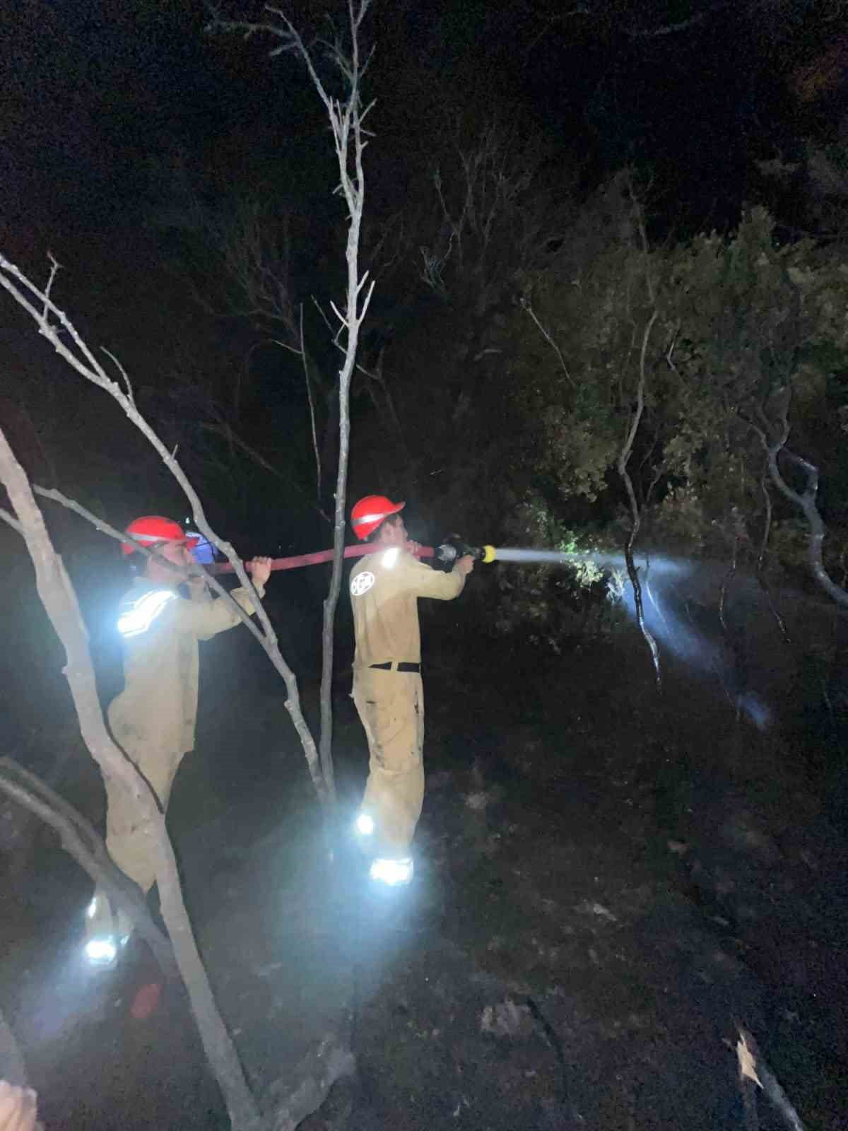 MUĞLA'NIN DALAMAN İLÇESİNDE ORMANLIK ALANDA ÇIKAN YANGIN, EKİPLERİN HIZLI MÜDAHALESİYLE BÜYÜMEDEN...