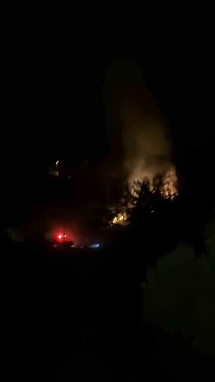 MUĞLA'NIN DALAMAN İLÇESİNDE ORMANLIK ALANDA ÇIKAN YANGIN, EKİPLERİN HIZLI MÜDAHALESİYLE BÜYÜMEDEN...