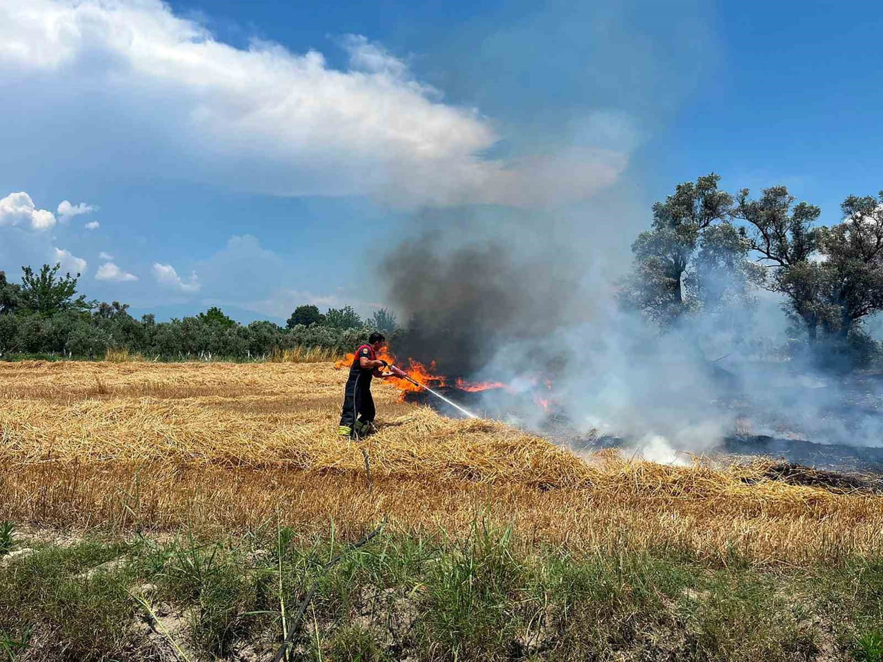 MUĞLA'NIN ORTACA İLÇESİ ÇAYLI MAHALLESİ'NDE MEYDANA GELEN OT YANGINI, İTFAİYE EKİPLERİNİN...
