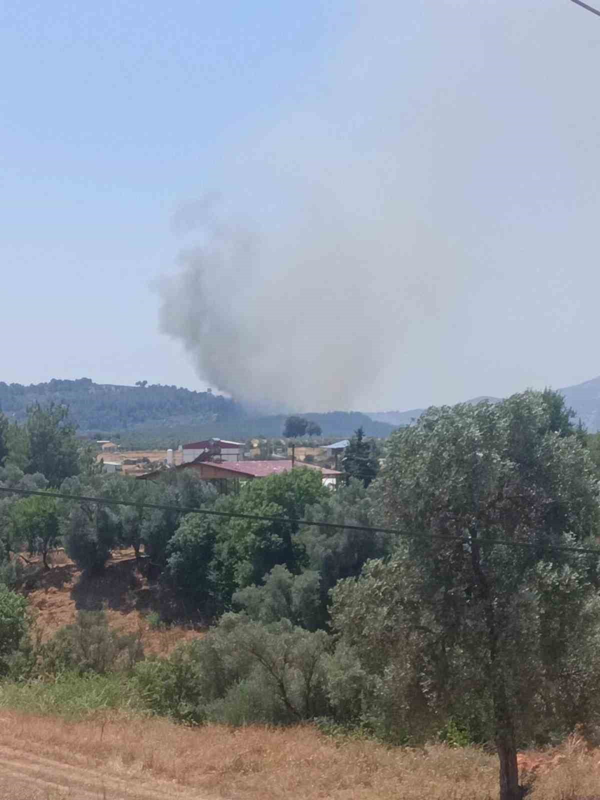 MUĞLA'NIN SEYDİKEMER İLÇESİNDE ÇIKAN ORMAN YANGININA HAVADAN VE KARADAN MÜDAHALELER...