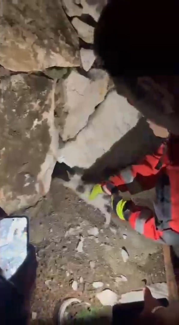 MUĞLA'NIN YATAĞAN İLÇESİNDE TAŞ DUVAR ARASINA SIKIŞAN KEDİ, İTFAİYE EKİPLERİNİN ÇALIŞMASIYLA...