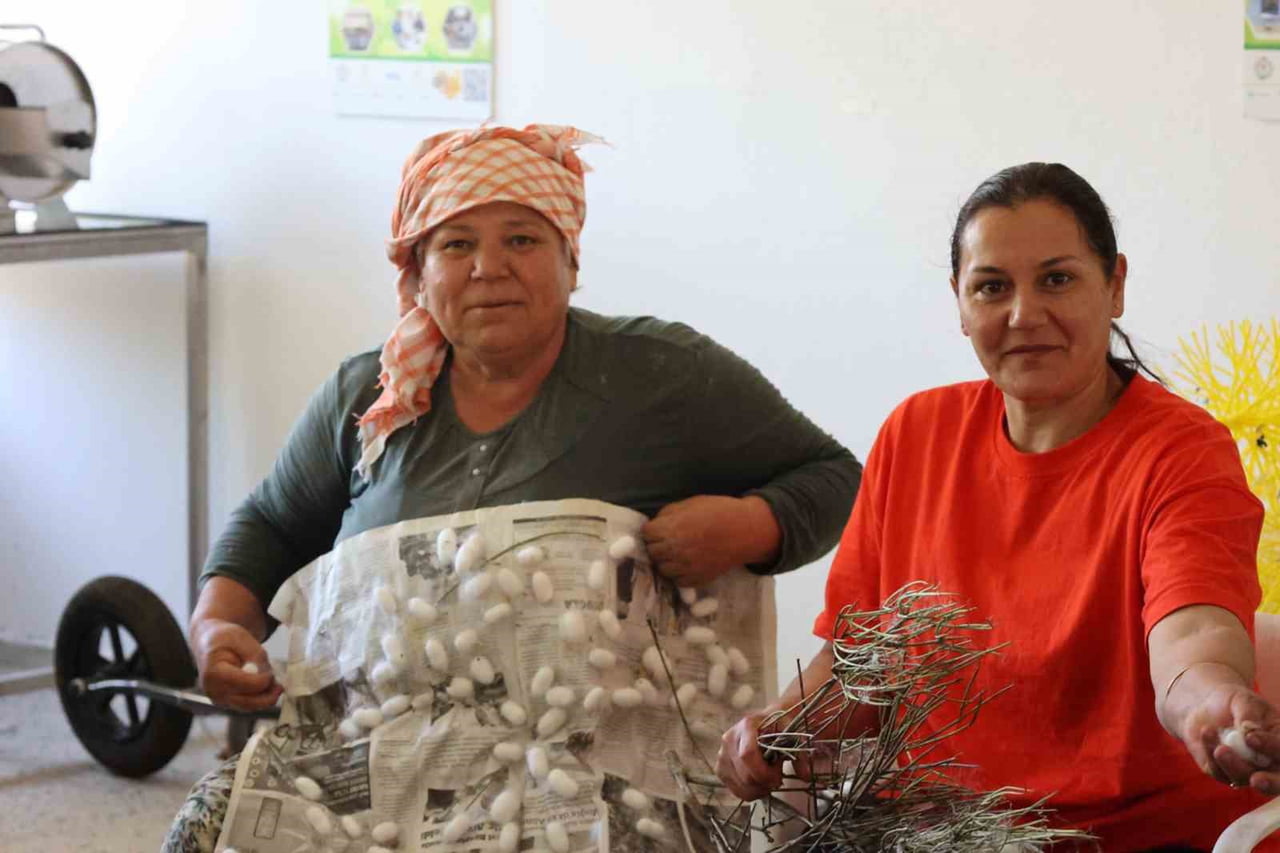 MUĞLA BÜYÜKŞEHİR BELEDİYESİ, ÜRETİCİLERE YÖNELİK DESTEKLERİYLE KENTTE İPEK BÖCEKÇİLİĞİNİ YENİDEN...