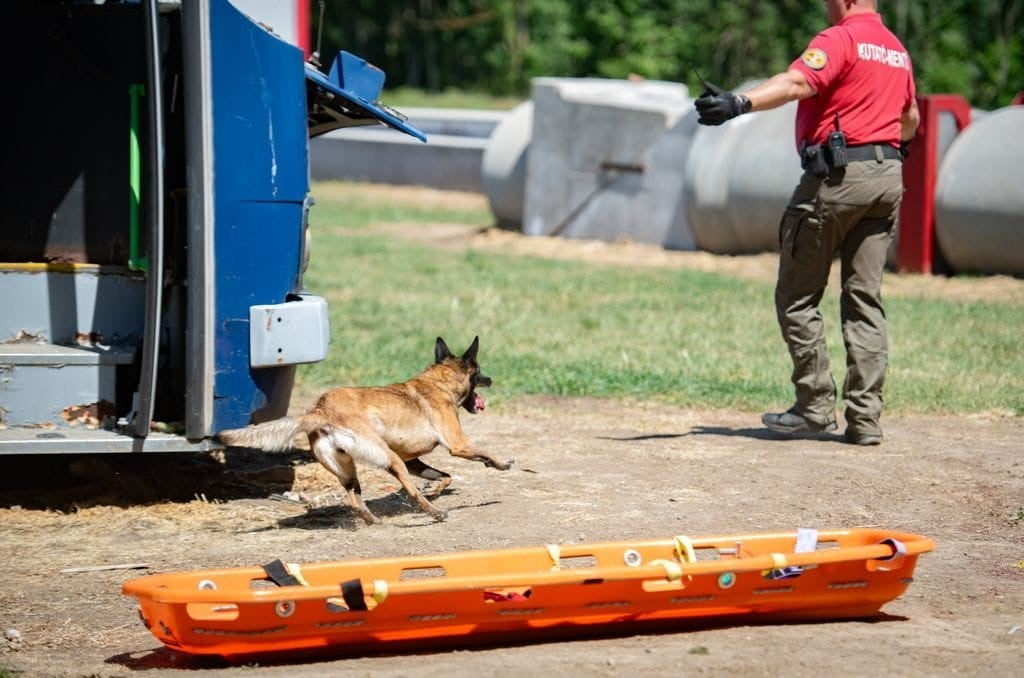 MUĞLA NAK ARAMA KURTARMA KÖPEKLERİ MACARİSTAN'DA SAHAYA İNDİ