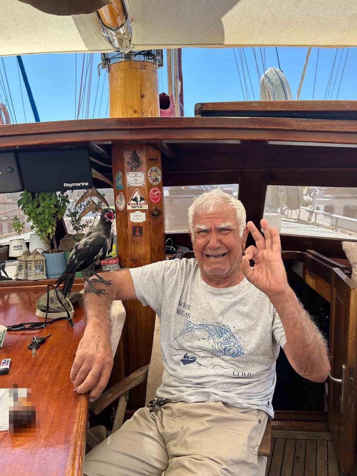MUĞLA’NIN BODRUM İLÇESİNDE SICAK HAVADAN ETKİLENEN BİR KARGA, LİMANDA DEMİRLİ TEKNEYE SIĞINDI....