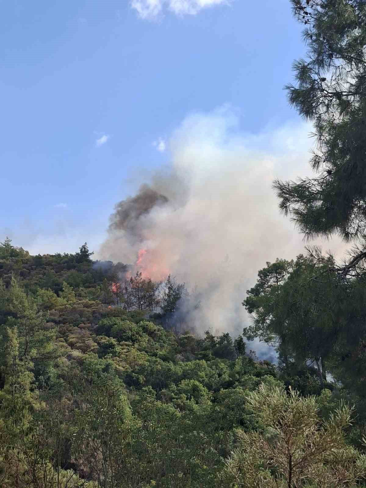 MUĞLA’NIN MARMARİS İLÇESİNDE ÇIKAN YILDIRIM KAYNAKLI ORMAN YANINA EKİPLERİN KARADAN VE HAVADAN...