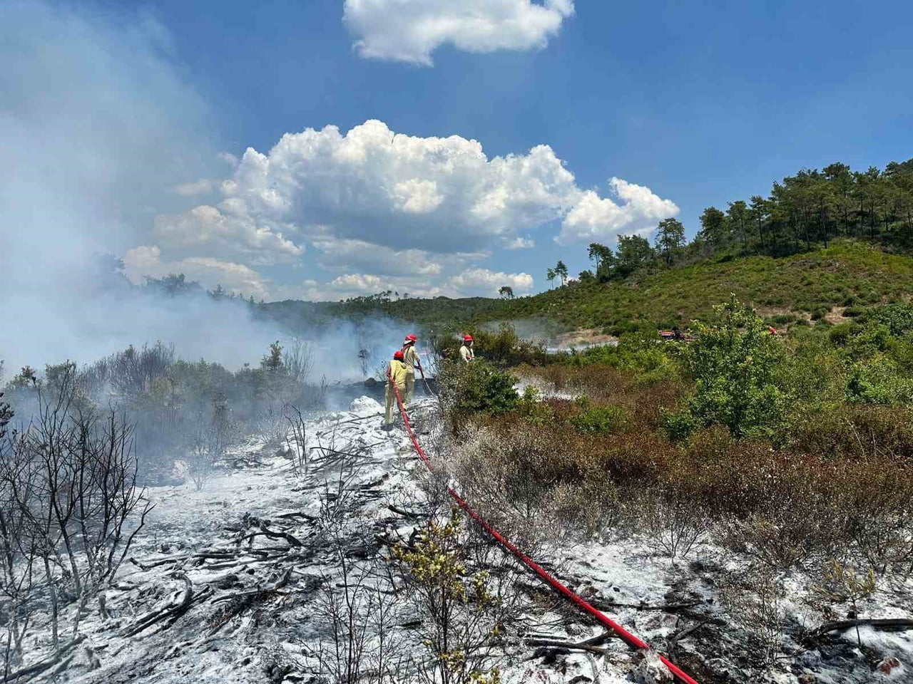 MUĞLA’NIN MARMARİS İLÇESİNDE YOL KENARINDA ÇIKAN YANGIN KISA SÜREDE YAYILARAK ORMANLIK ALANA...
