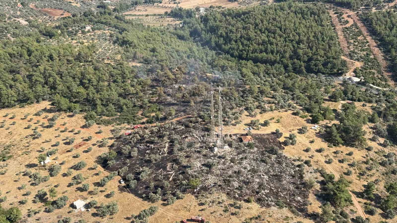 MUĞLA’NIN MİLAS İLÇESİNE BAĞLI BAĞDAMLAR MAHALLESİ’NDEKİ ZİRAİ ALANDA MEYDANA GELEN YANGIN...