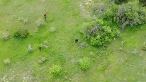 Muhtar, kaçak kazı şüphelilerini dronla görüntüledi