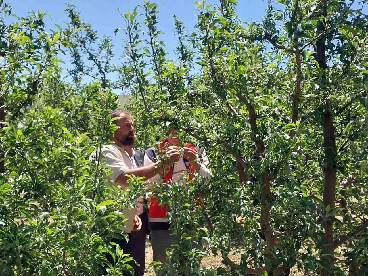 NİĞDE’DE DOLU VE SAĞANAK TARIM ARAZİLERİNE ZARAR VERDİ