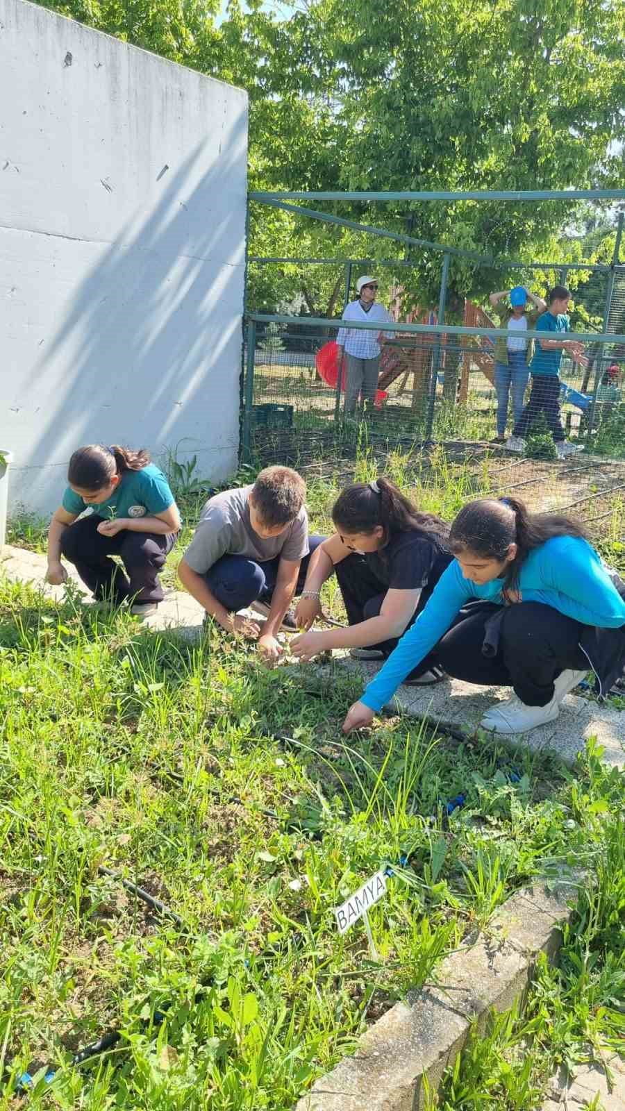NİLÜFER BELEDİYESİ, IŞIKTEPE MAHALLESİ’NDEKİ RÜVEYDE DÖRTÇELİK İLKOKULU’NUN BAHÇESİNDE...